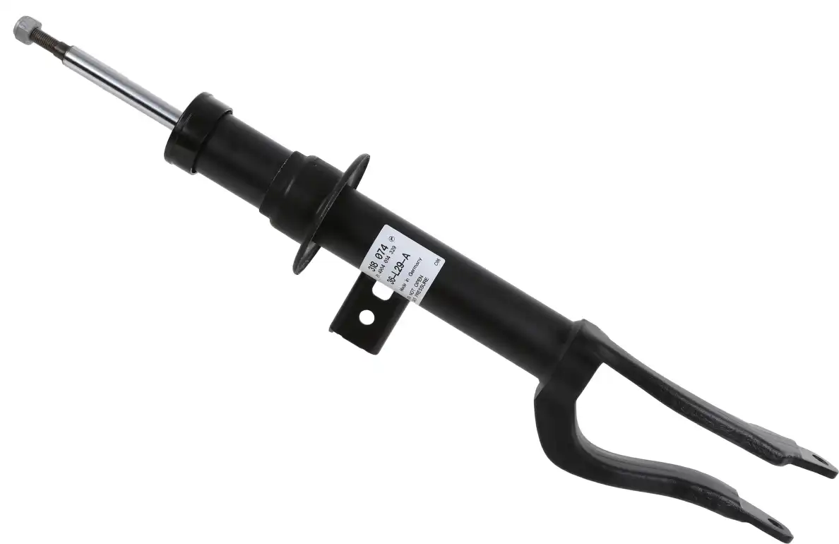 SACHS 318 074
