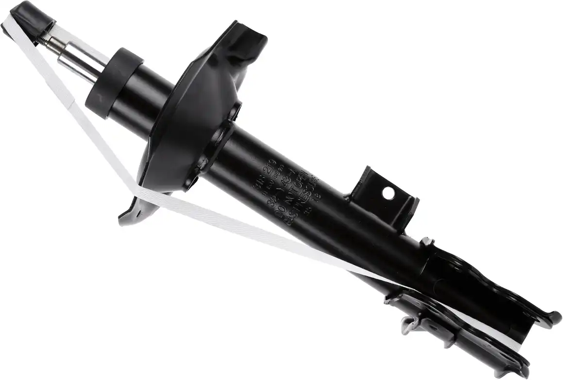 SACHS 318 219