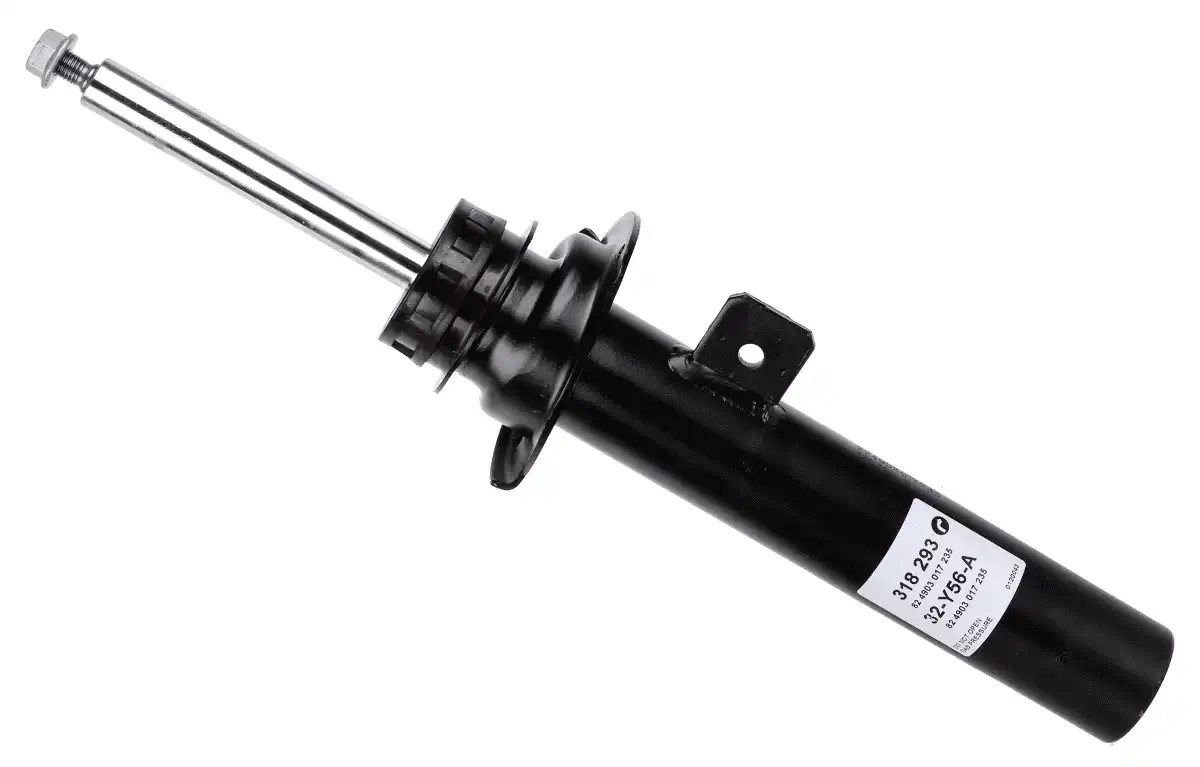 SACHS 318 293