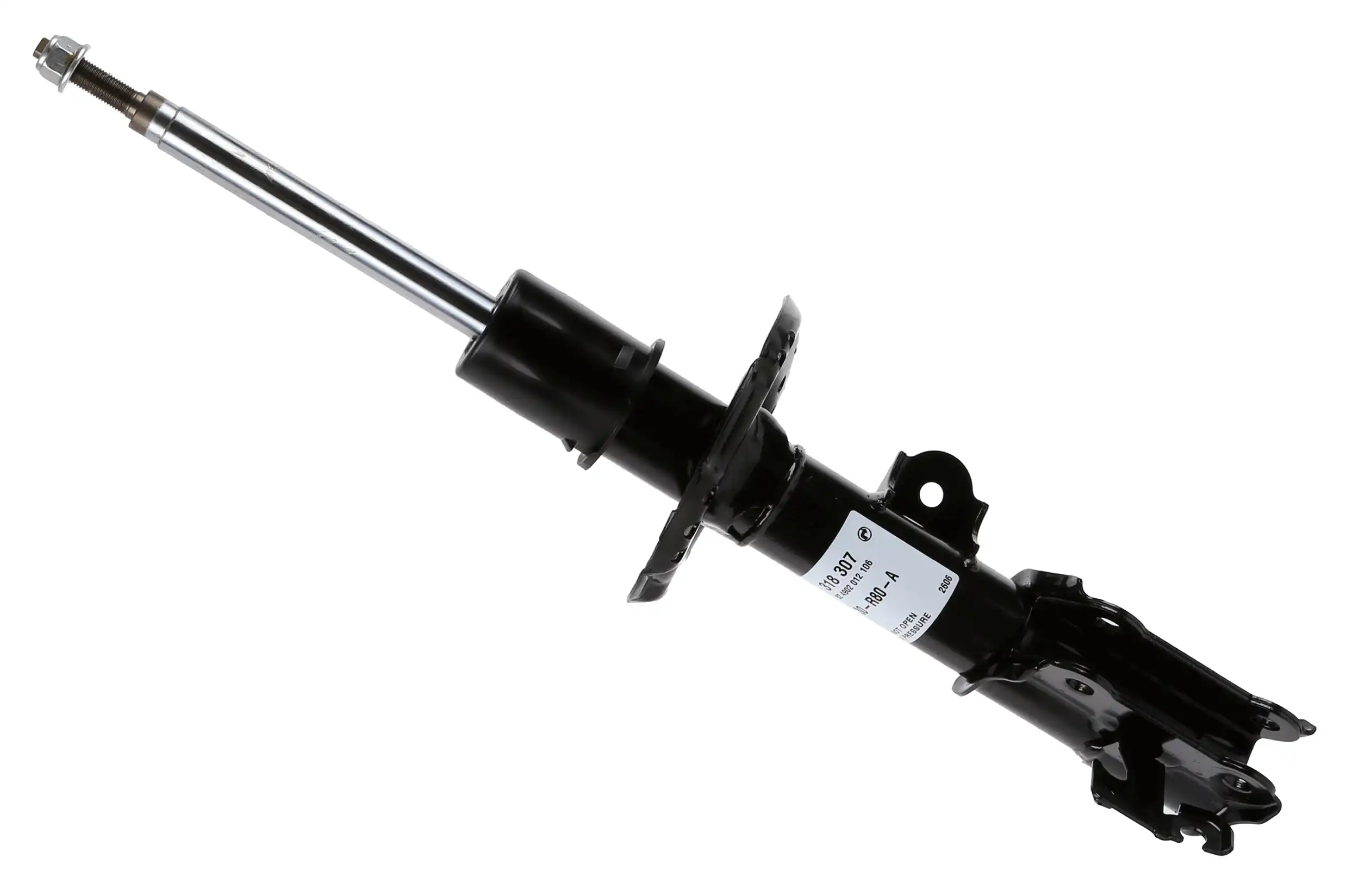 SACHS 318 307