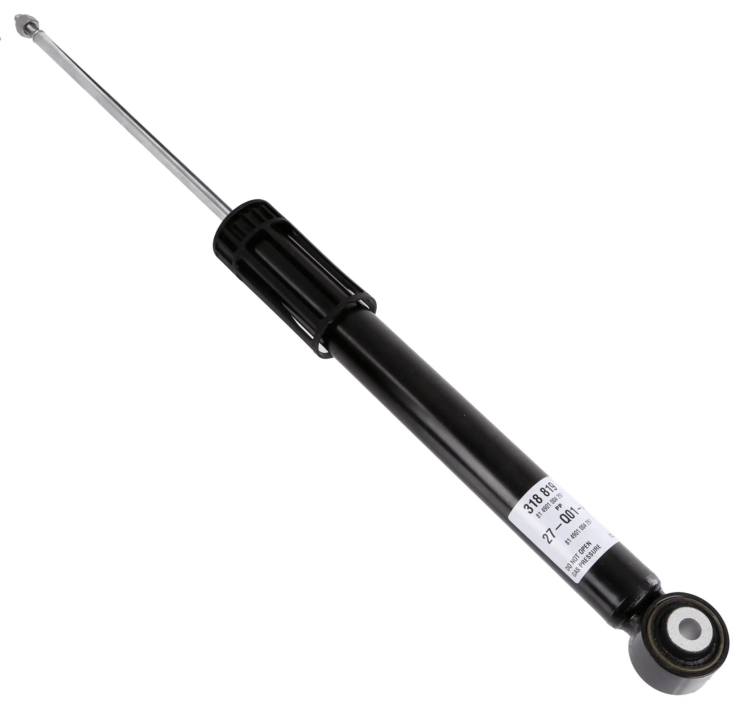 SACHS 318 819