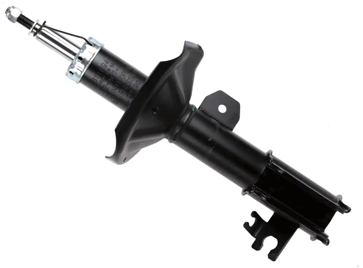 SACHS 318 894