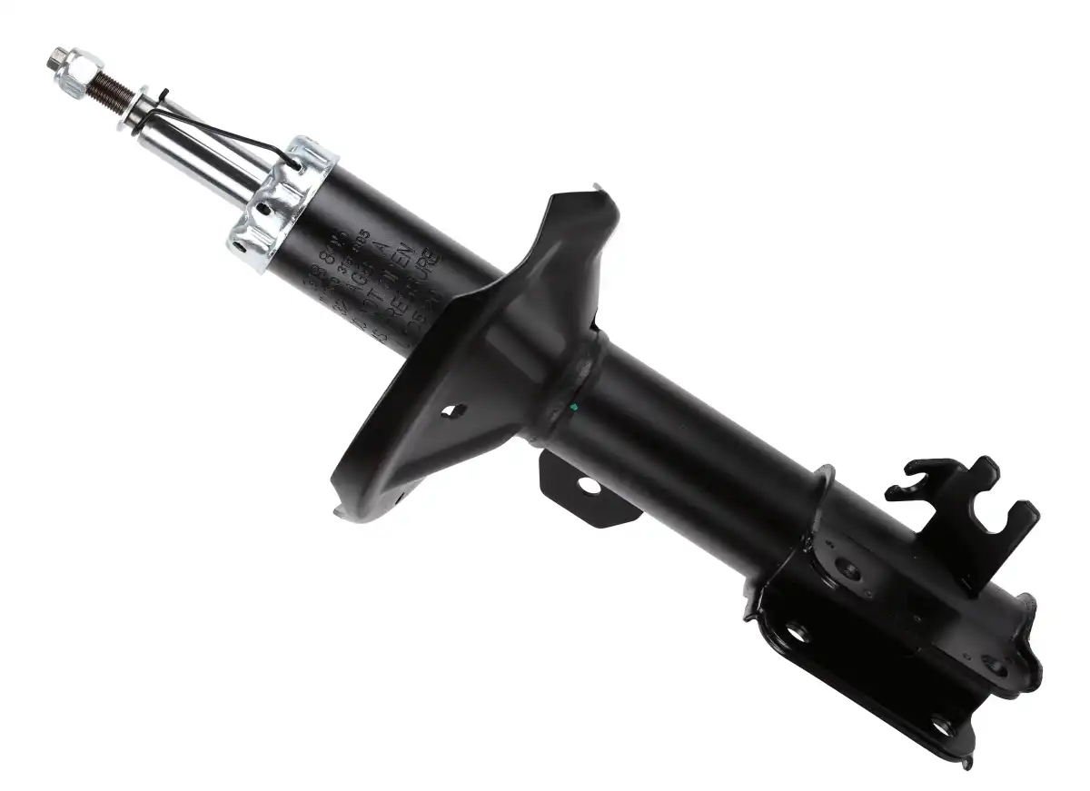 SACHS 318 895