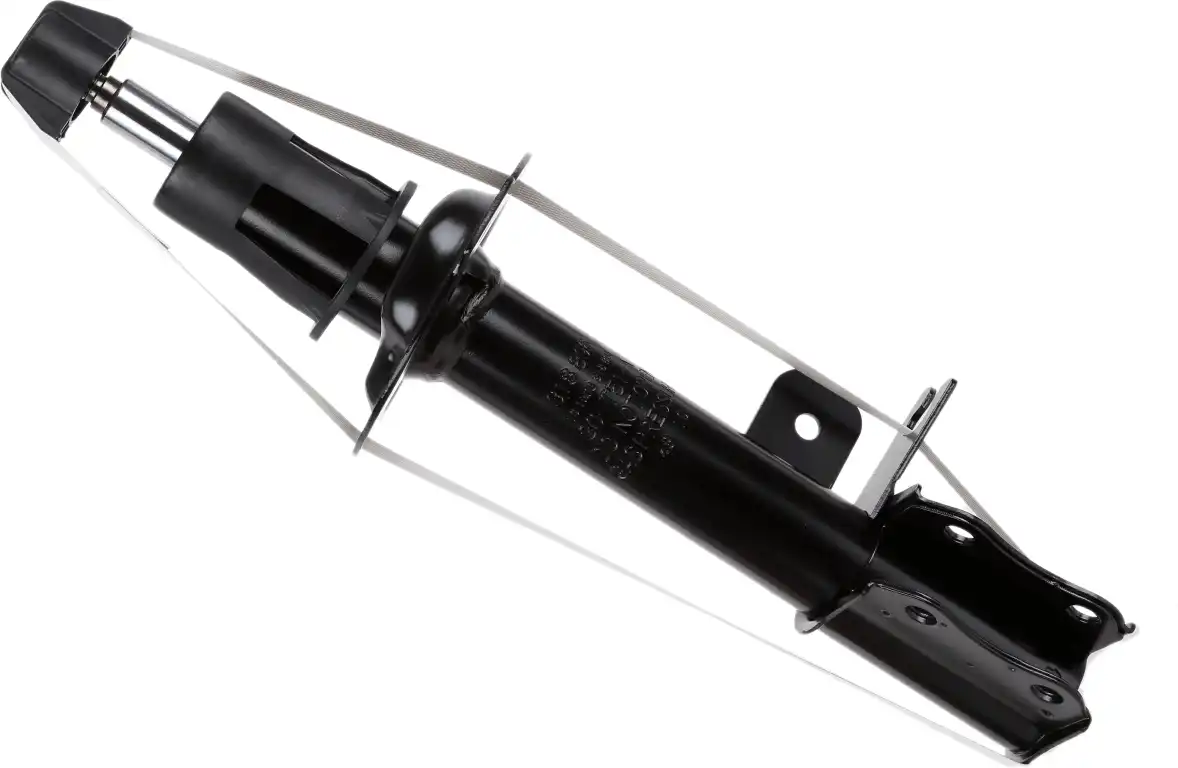SACHS 318 896