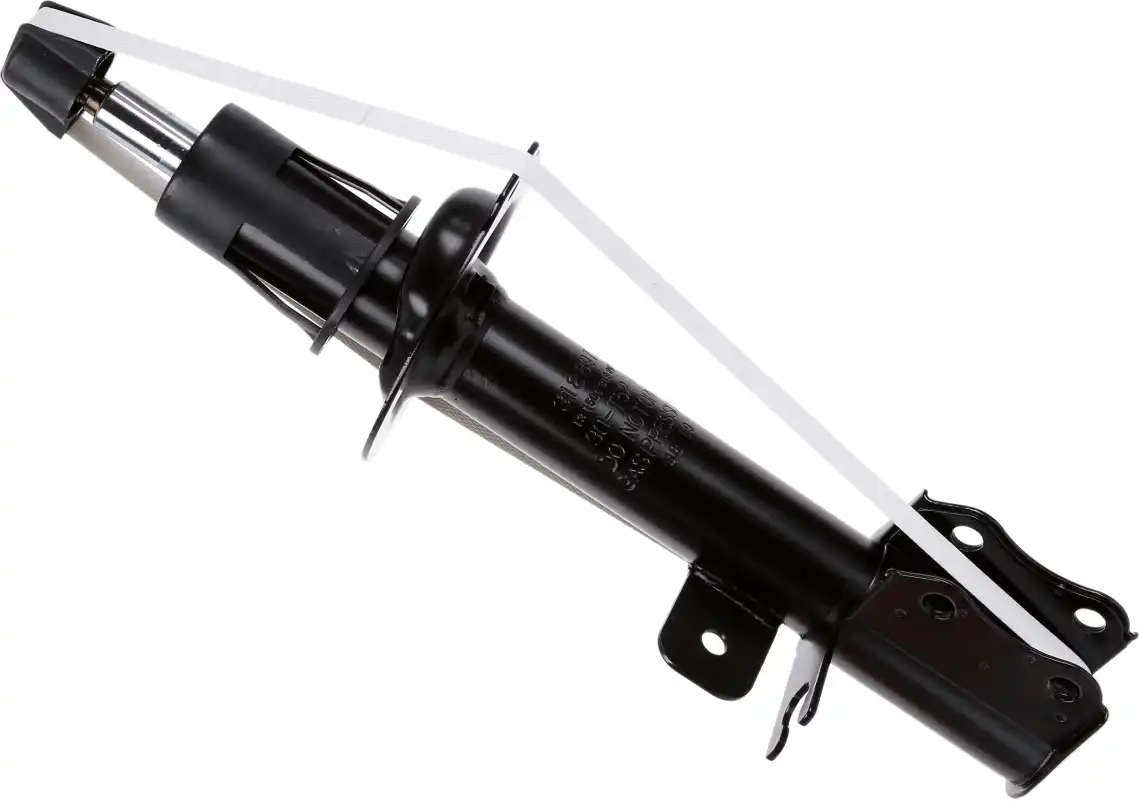 SACHS 318 897