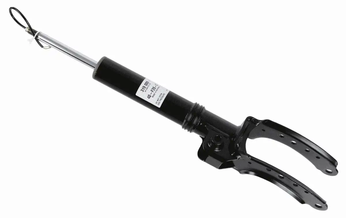 SACHS 319 009