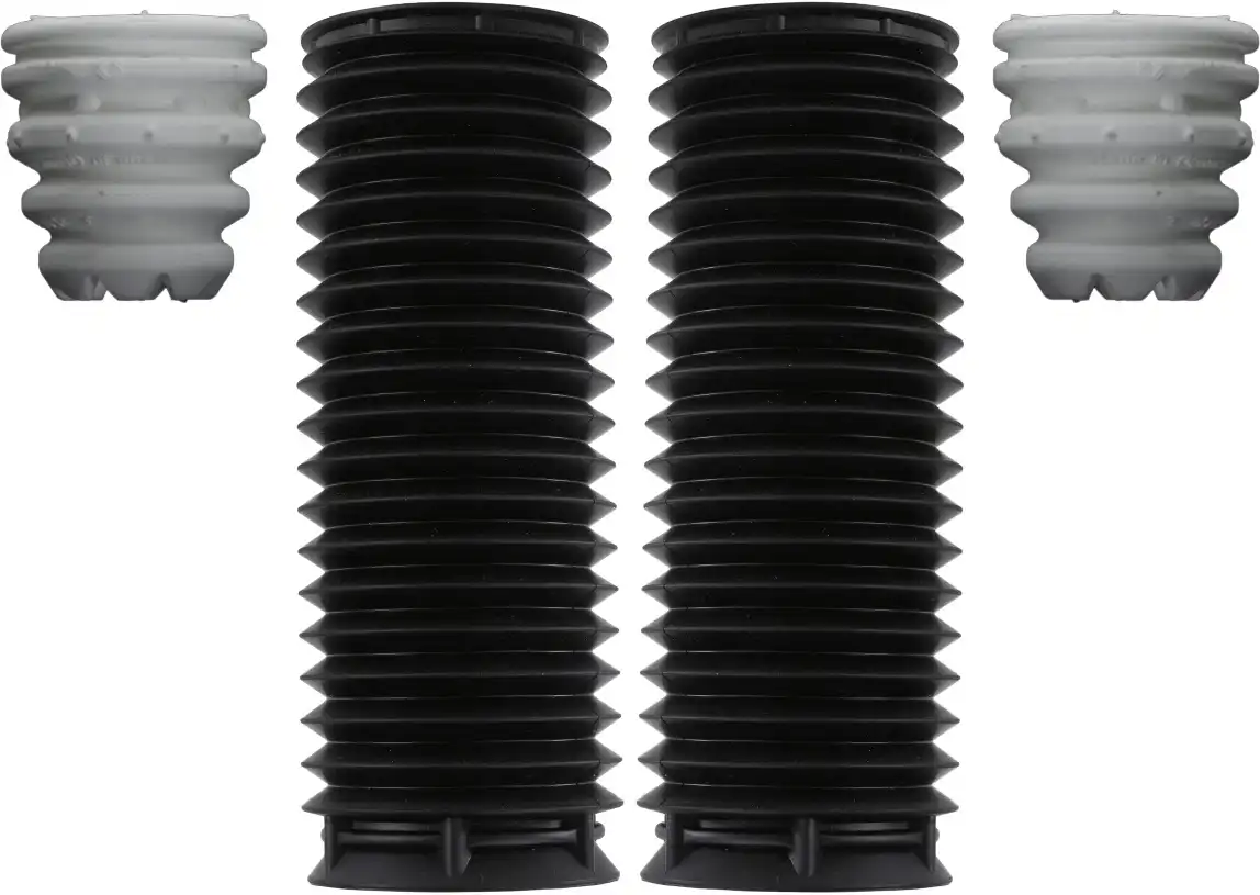 SACHS 900 435