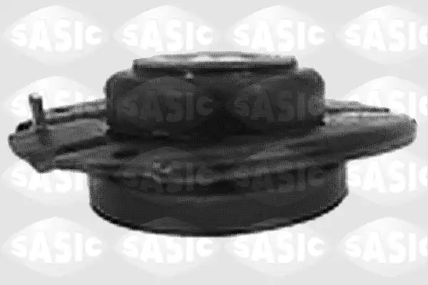SASIC 0385565