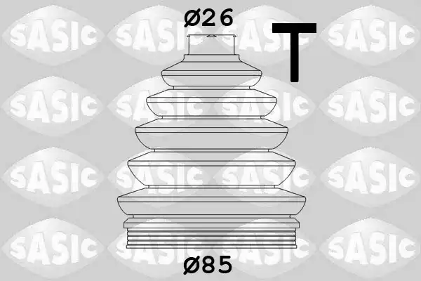 SASIC 1906038