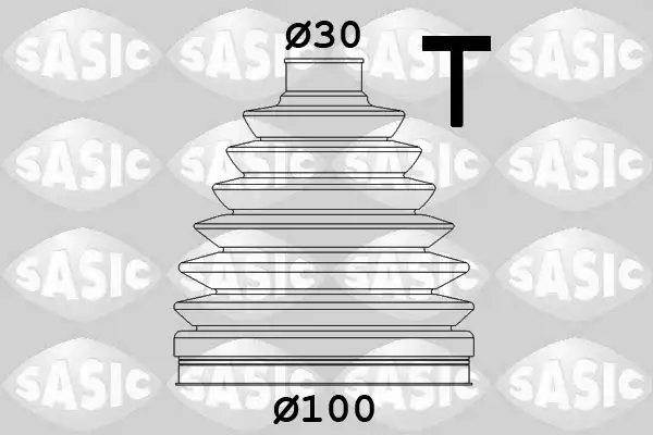 SASIC 1906055
