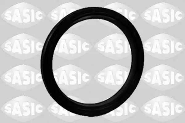 SASIC 1950011