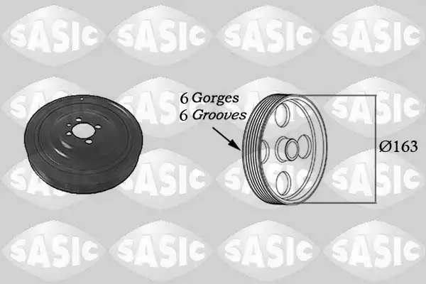 SASIC 2156029