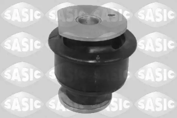 SASIC 2250031