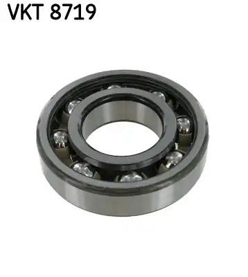 SKF VKT 8719