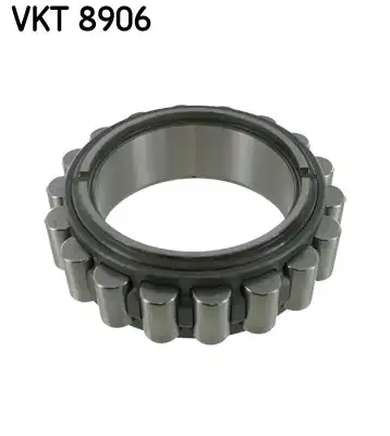 SKF VKT 8906