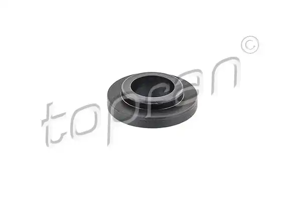 TOPRAN 100 111