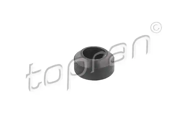 TOPRAN 100 291