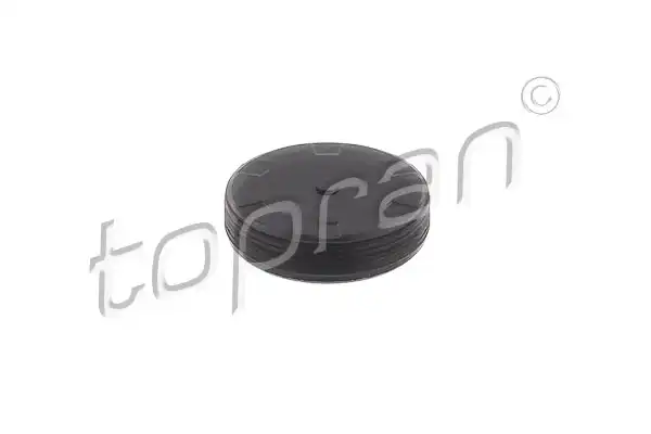 TOPRAN 113 317