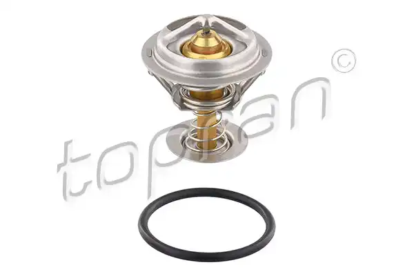 TOPRAN 304 519