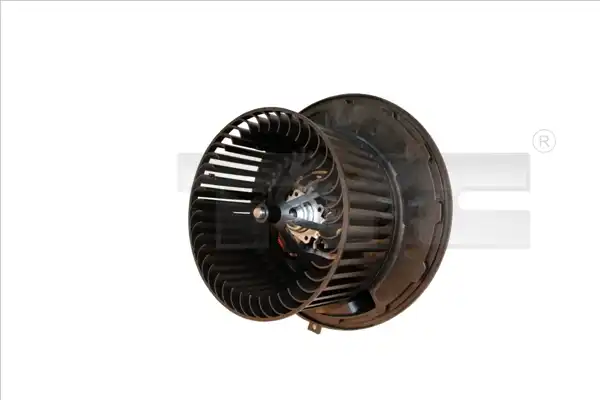 TYC 521-0019