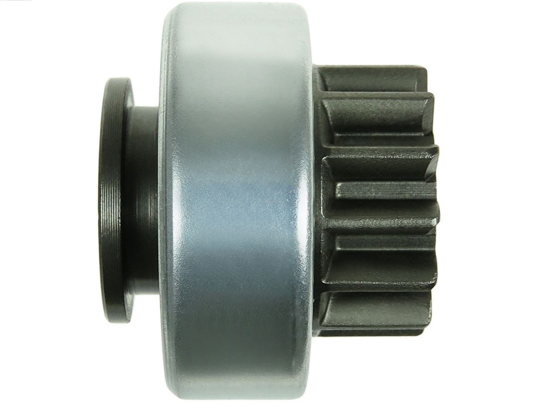 AS-PL SD2021