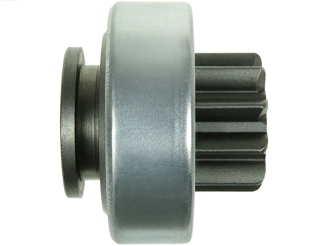 AS-PL SD2025