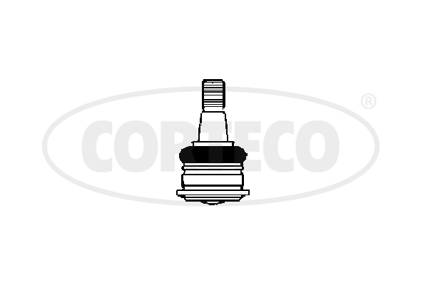 CORTECO 49399505