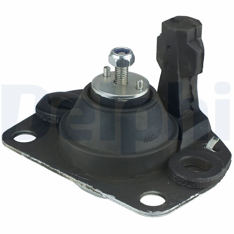 DELPHI TEM038