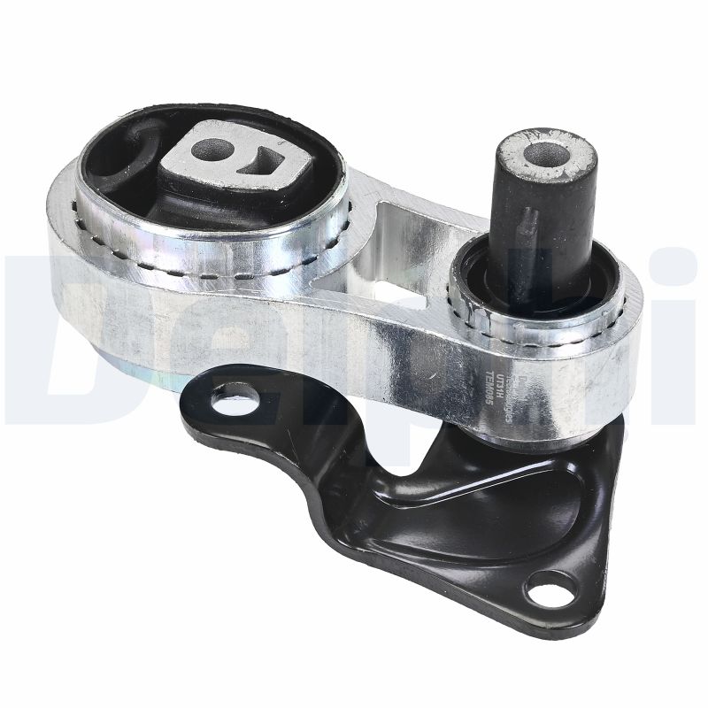 DELPHI TEM085