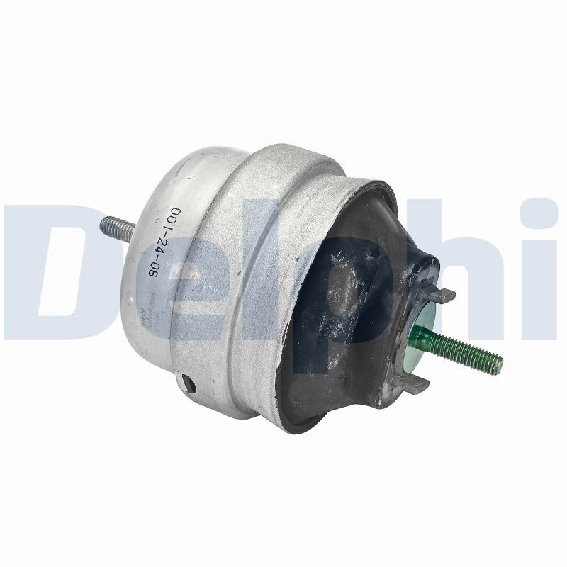 DELPHI TEM143