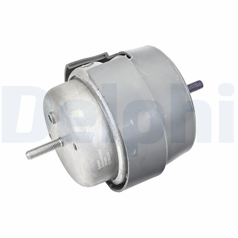 DELPHI TEM234