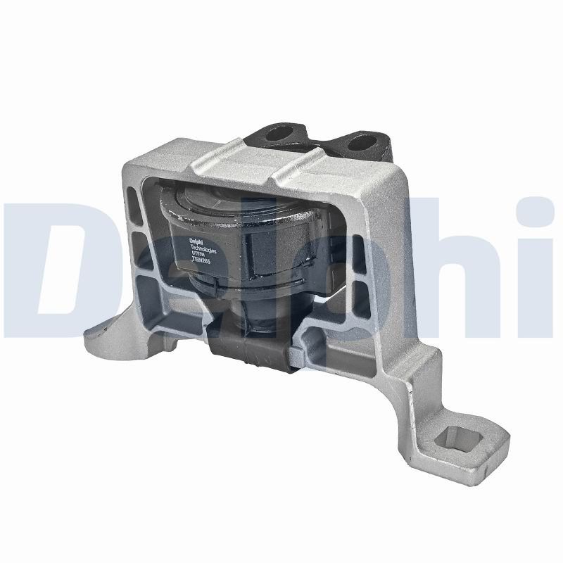 DELPHI TEM265