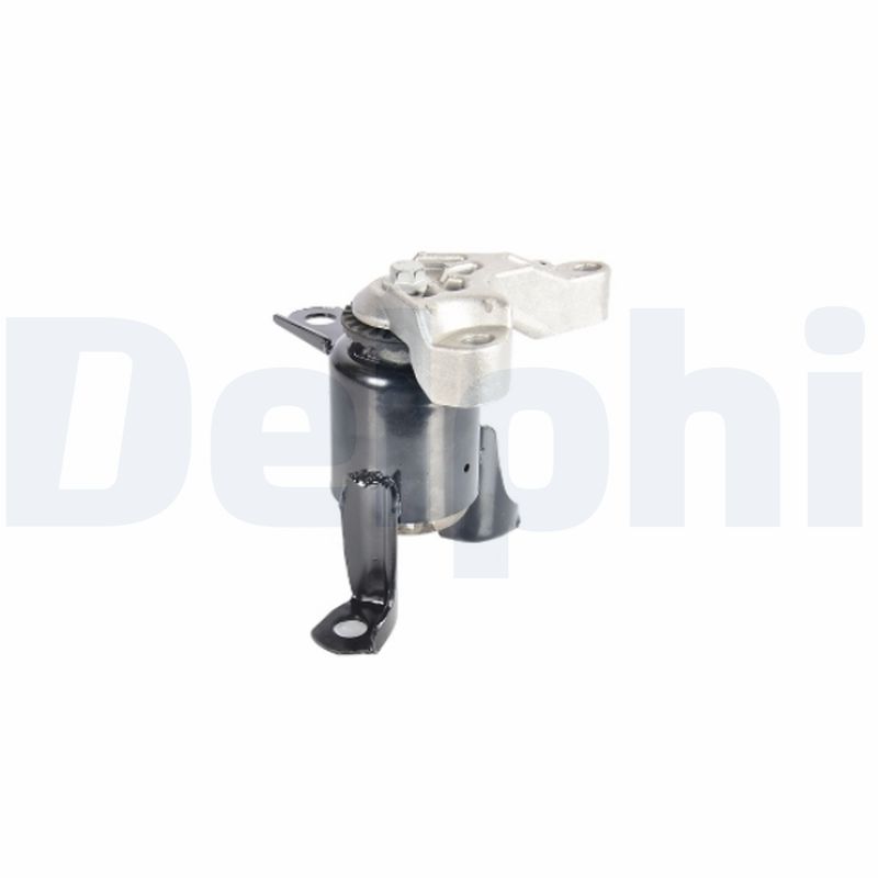 DELPHI TEM270
