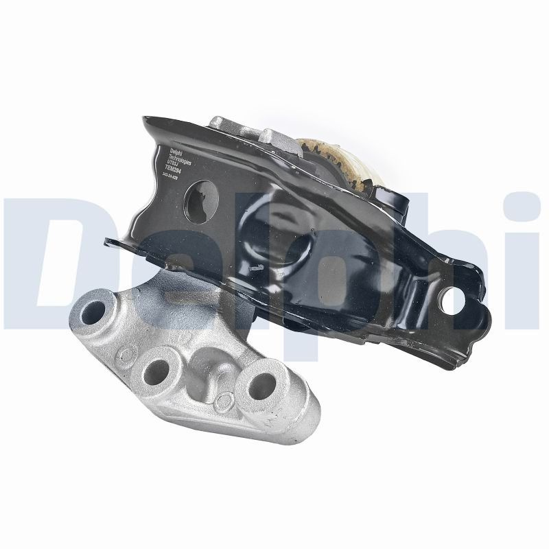 DELPHI TEM294