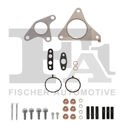 FA1 KT720110