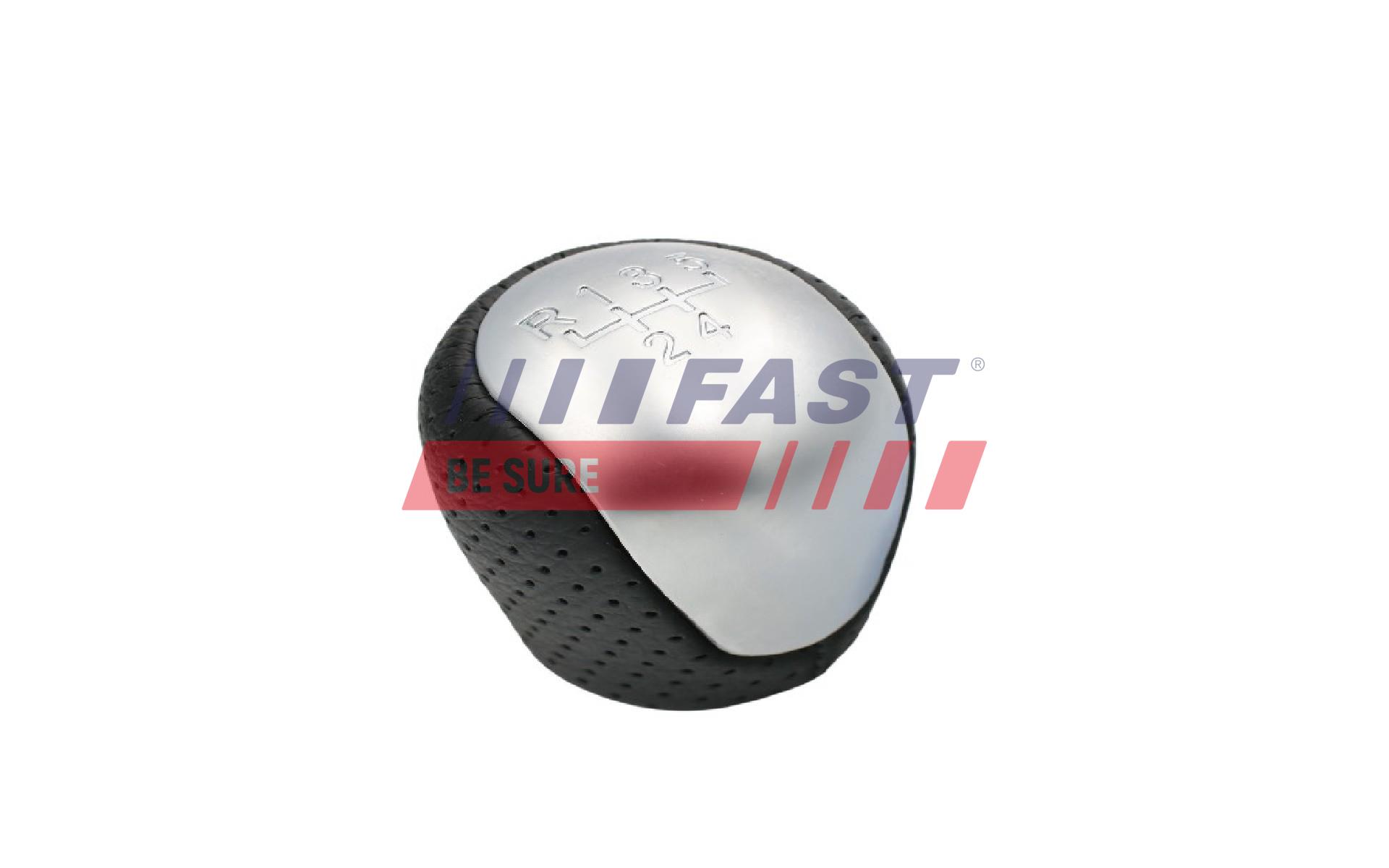 FAST FT00077