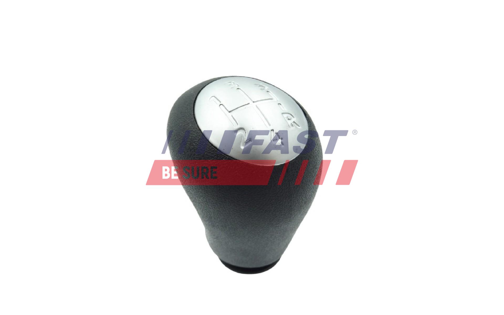 FAST FT00091