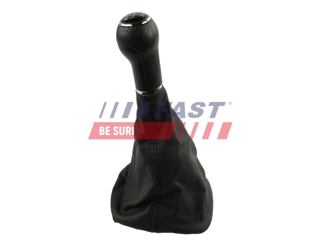 FAST FT09028