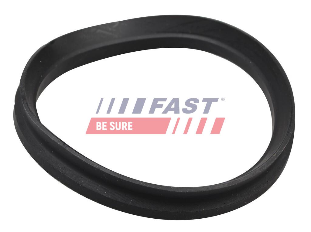 FAST FT12192