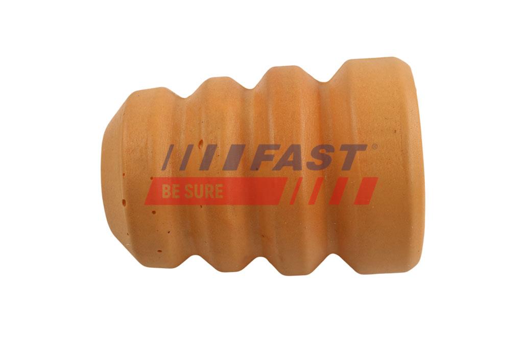 FAST FT18113