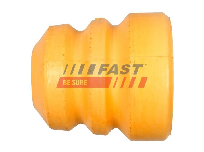 FAST FT18386