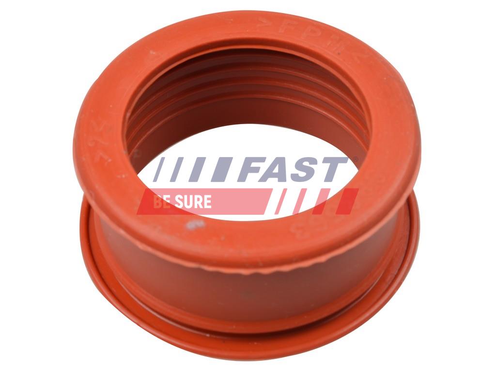 FAST FT61773