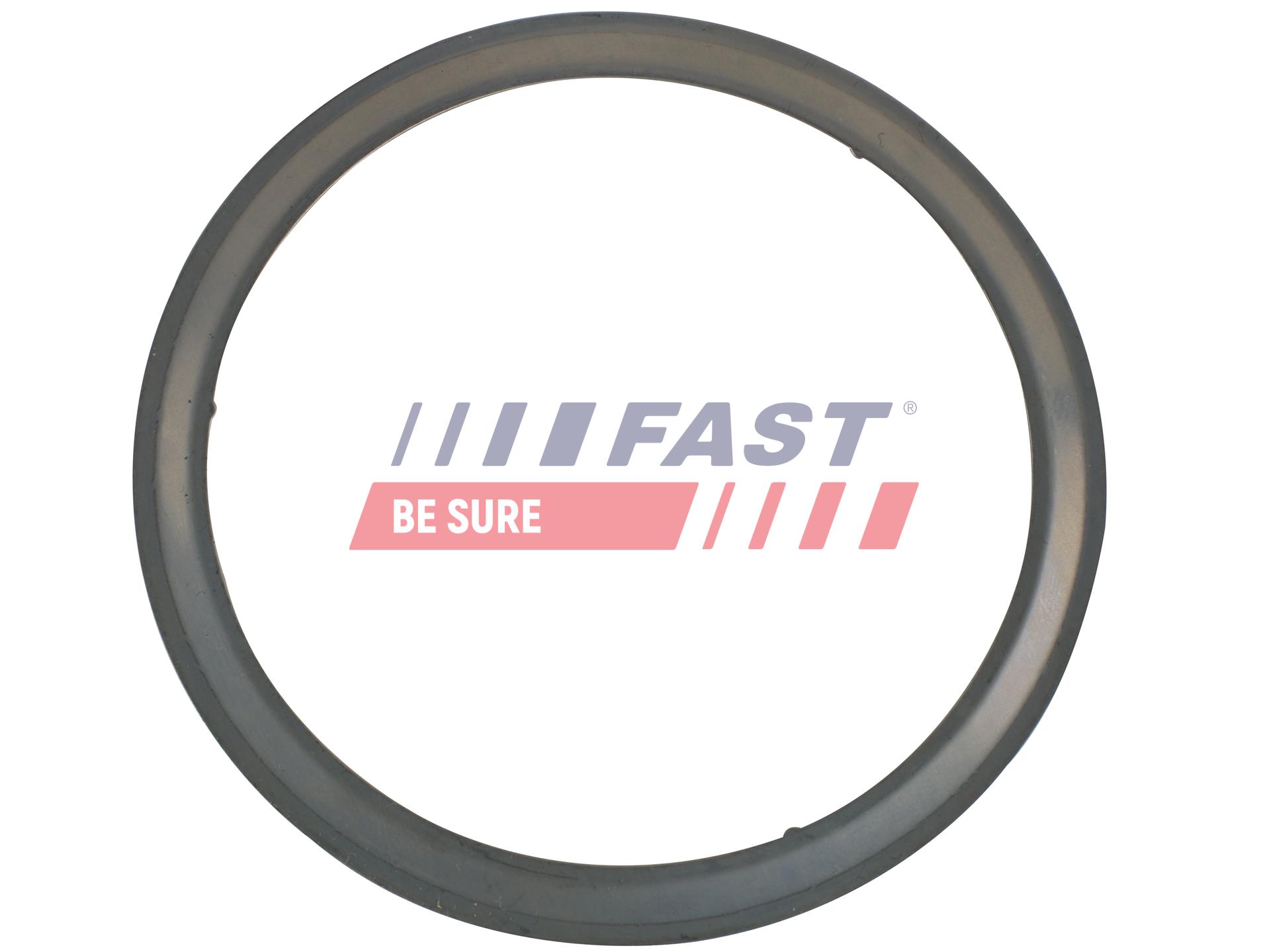 FAST FT84595