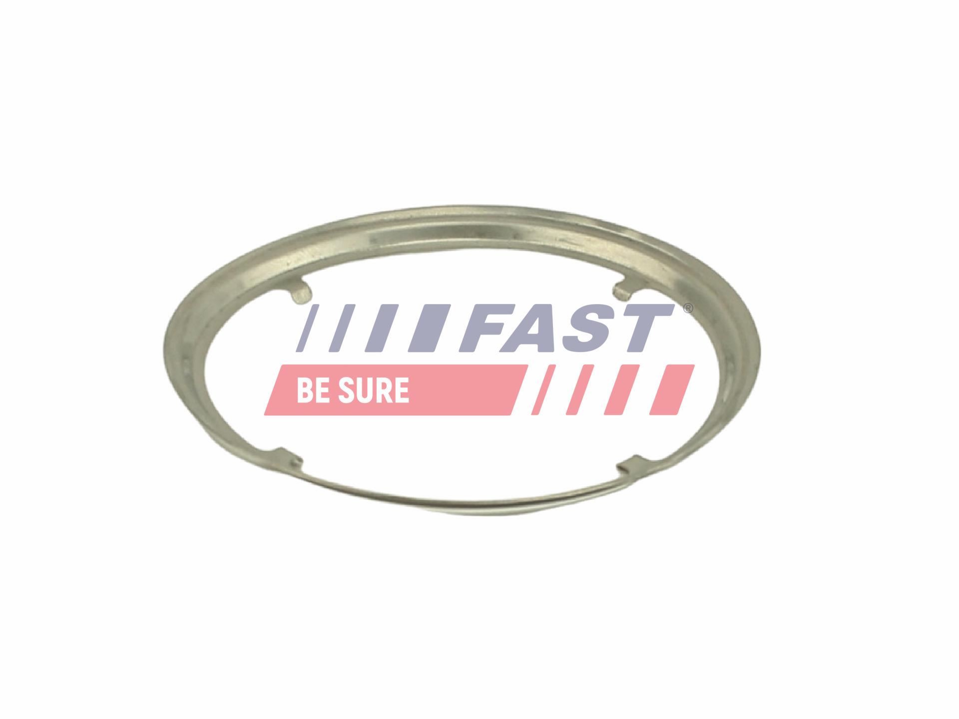 FAST FT84817