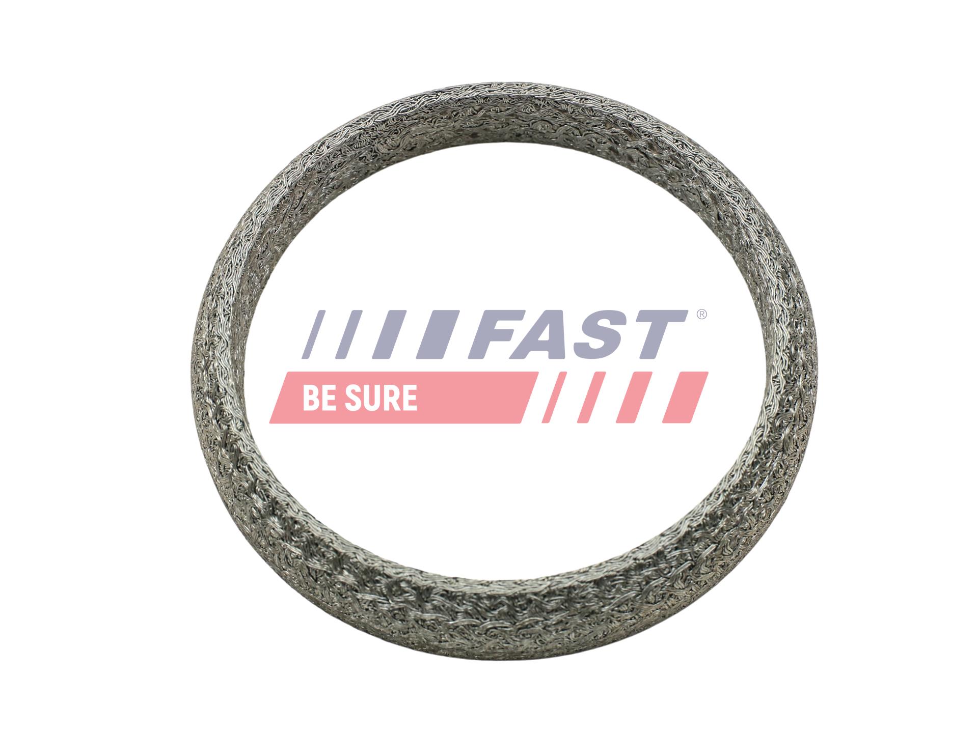 FAST FT84818