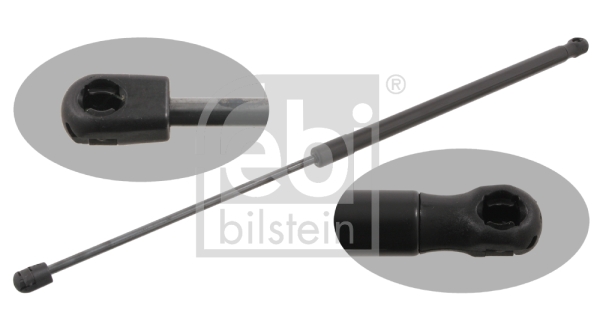 FEBI 29274