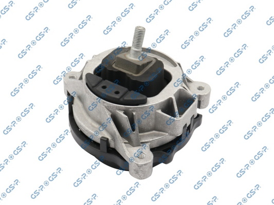 GSP 533873