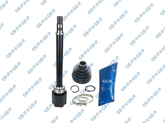 GSP 601819