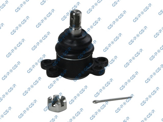 GSP S080691