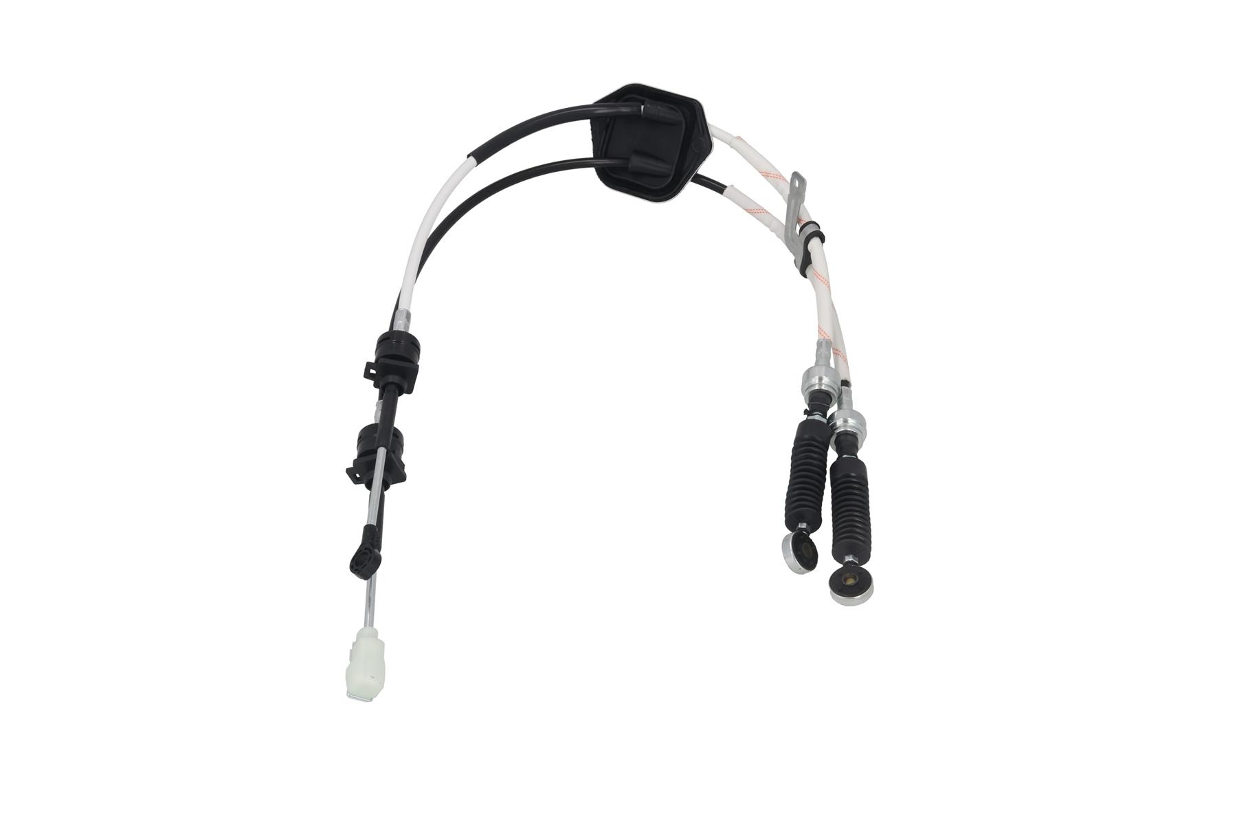 KAMOKA CP0012